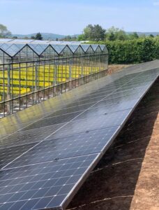 commercial solar panel installation