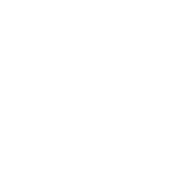 Future proofing icon