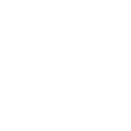 Long Term Savings icon