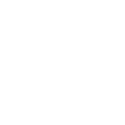 Potential Government Incentives icon